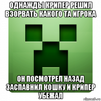 однажды крипер решил взорвать какого та игрока он посмотрел назад заспавнил кошку и крипер убежал