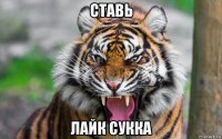 ставь лайк сукка