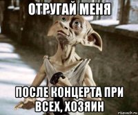 отругай меня после концерта при всех, хозяин