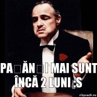 Pațănși mai sunt încă 2 luni :S