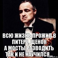 ВСЮ ЖИЗНЬ ПРОЖИЛ В ПИТЕРЕ, ЩЕНОК
А МОСТЫ РАЗВОДИТЬ ТАК И НЕ НАУЧИЛСЯ...