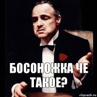 БОСОНОЖКА ЧЕ ТАКОЕ?