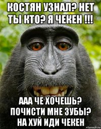 костян узнал? нет ты кто? я чекен !!! ааа че хочешь? почисти мне зубы? на хуй иди чекен