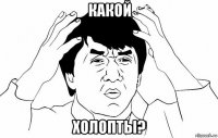 какой холопты?