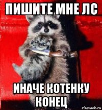 пишите мне лс иначе котенку конец