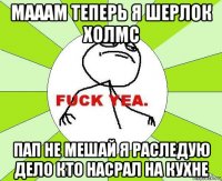 мааам теперь я шерлок холмс пап не мешай я раследую дело кто насрал на кухне