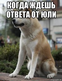 когда ждешь ответа от юли 