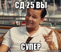 сд 25 вы супер