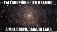 ты говоришь, что я хамло, а мне похуй, завали ебло