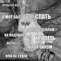 Пробегал весь день хропеть спать или на спине на подушке  калачиком А мог бы уютно под одеялом