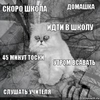 Скоро школа Утром всавать Идти в школу Слушать учителя 45 минут тоски Домашка    