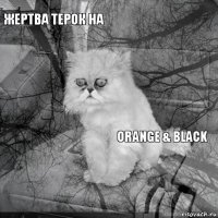 жертва терок на Orange & Black        