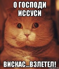 о господи иссуси вискас...взлетел!