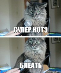 супер котэ блеать