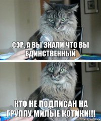 сэр, а вы знали что вы единственный кто не подписан на группу Милые котики!!!