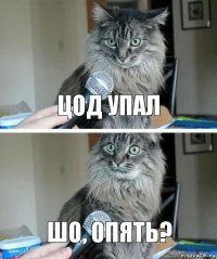 ЦОД упал шо, опять?