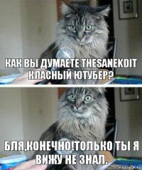 Как вы думаете TheSanekDit класный ютубер? Бля,конечно!Только ты я вижу не знал.