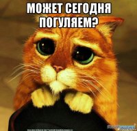 может сегодня погуляем? 