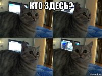 кто здесь? 