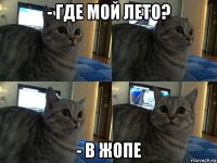 - где мой лето? - в жопе