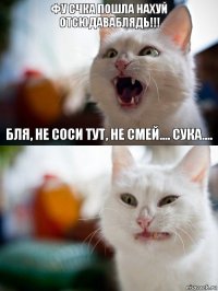 фу счка пошла нахуй отсюдаваблядь!!! Бля, не соси тут, не смей.... сука....