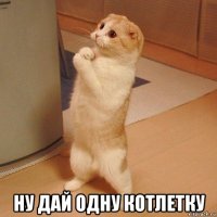  ну дай одну котлетку