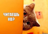 читаешь кв?