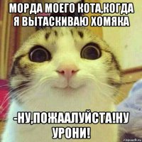 морда моего кота,когда я вытаскиваю хомяка -ну,пожаалуйста!ну урони!