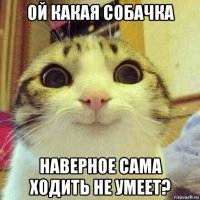 ой какая собачка наверное сама ходить не умеет?