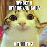 привет я котяка-улыбака а ты кто ?