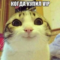 когда купил vip 