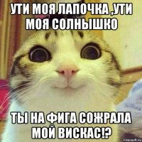 ути моя лапочка ,ути моя солнышко ты на фига сожрала мой вискас!?