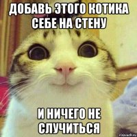 добавь этого котика себе на стену и ничего не случиться