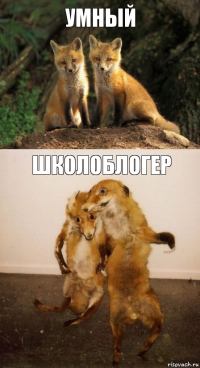 Умный Школоблогер