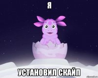 я установил скайп