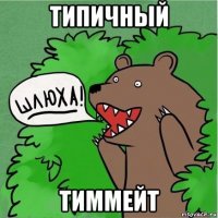 типичный тиммейт