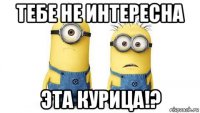 тебе не интересна эта курица!?