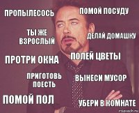 Пропылесось Помой посуду протри окна помой пол Вынеси мусор полей цветы приготовь поесть убери в комнате ты же взрослый делай домашку