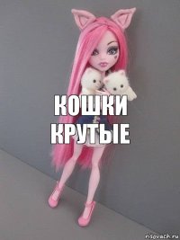 КОШКИ КРУТЫЕ