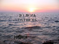 До моря осталось 20 дней