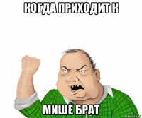 когда приходит к мише брат