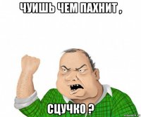 чуишь чем пахнит , сцучко ?