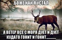 боже как я устал а ветер все с моря дует и дует кудато гонит и гонит............