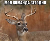 моя команда сегодня 