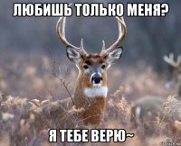 любишь только меня? я тебе верю~