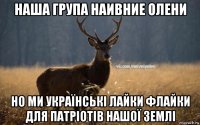 наша група наивние олени но ми українські лайки флайки для патріотів нашої землі