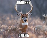 наївний олень