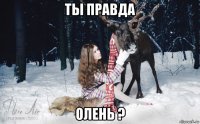 ты правда олень ?