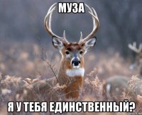 муза я у тебя единственный?