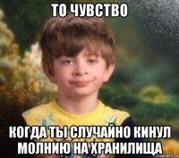 то чувство когда ты случайно кинул молнию на хранилища